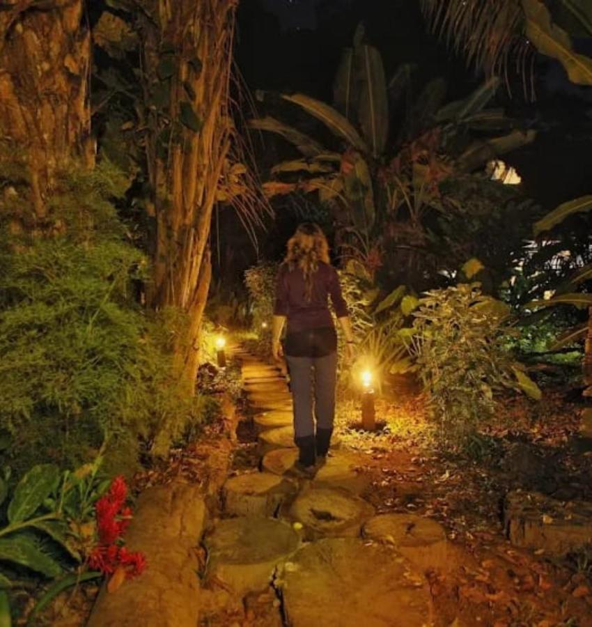 Ecolucerna Tambopata Lodge