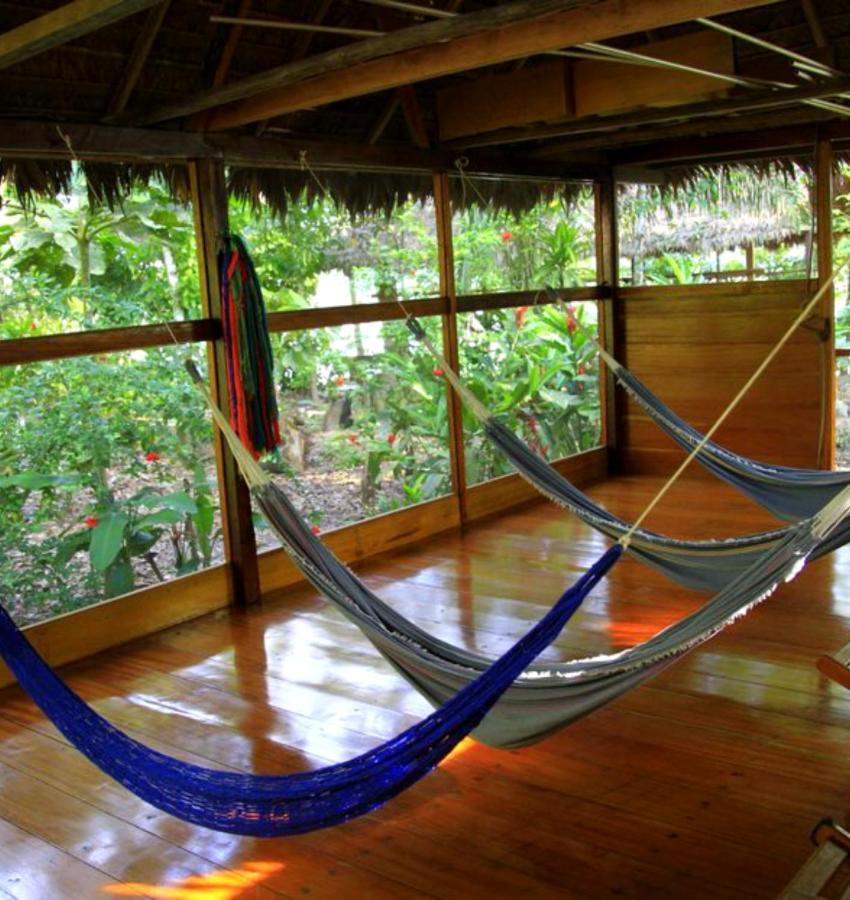 Ecolucerna Tambopata * Puerto Maldonado