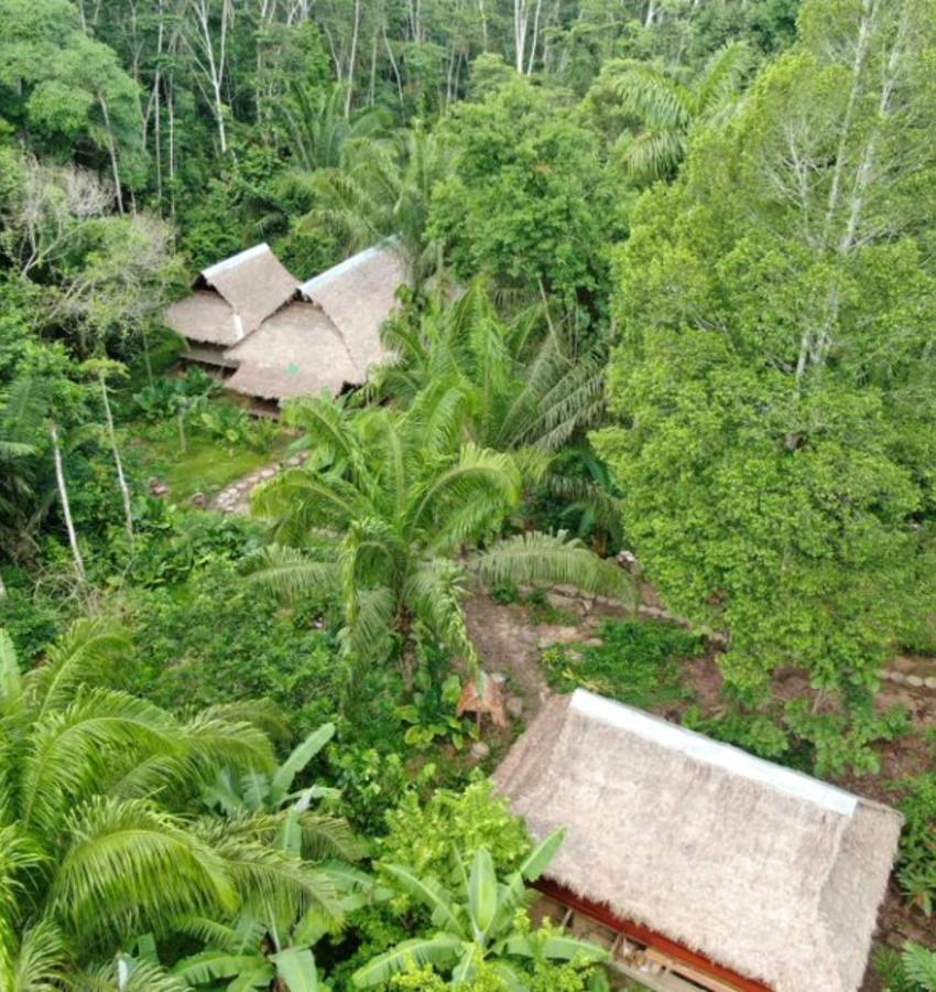 Ecolucerna Tambopata Lodge