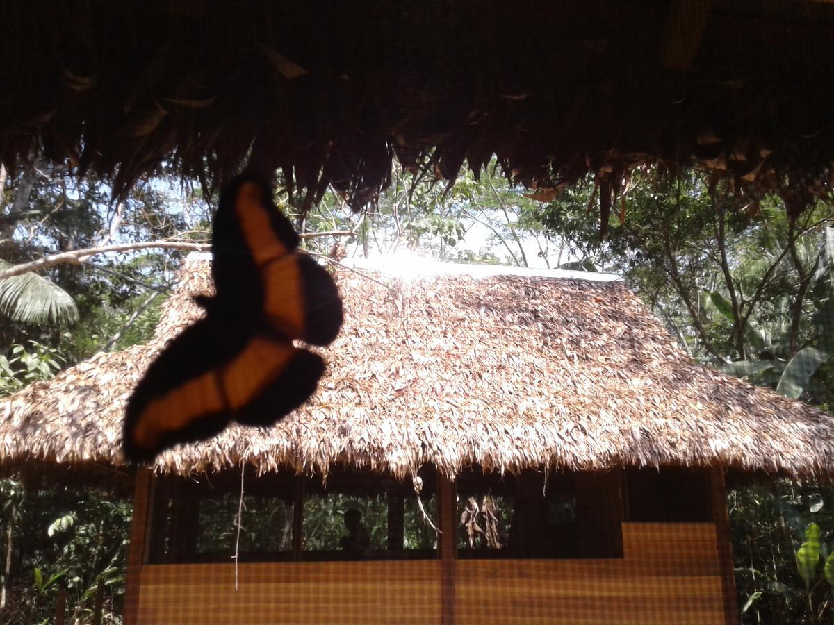 Ecolucerna Tambopata Lodge