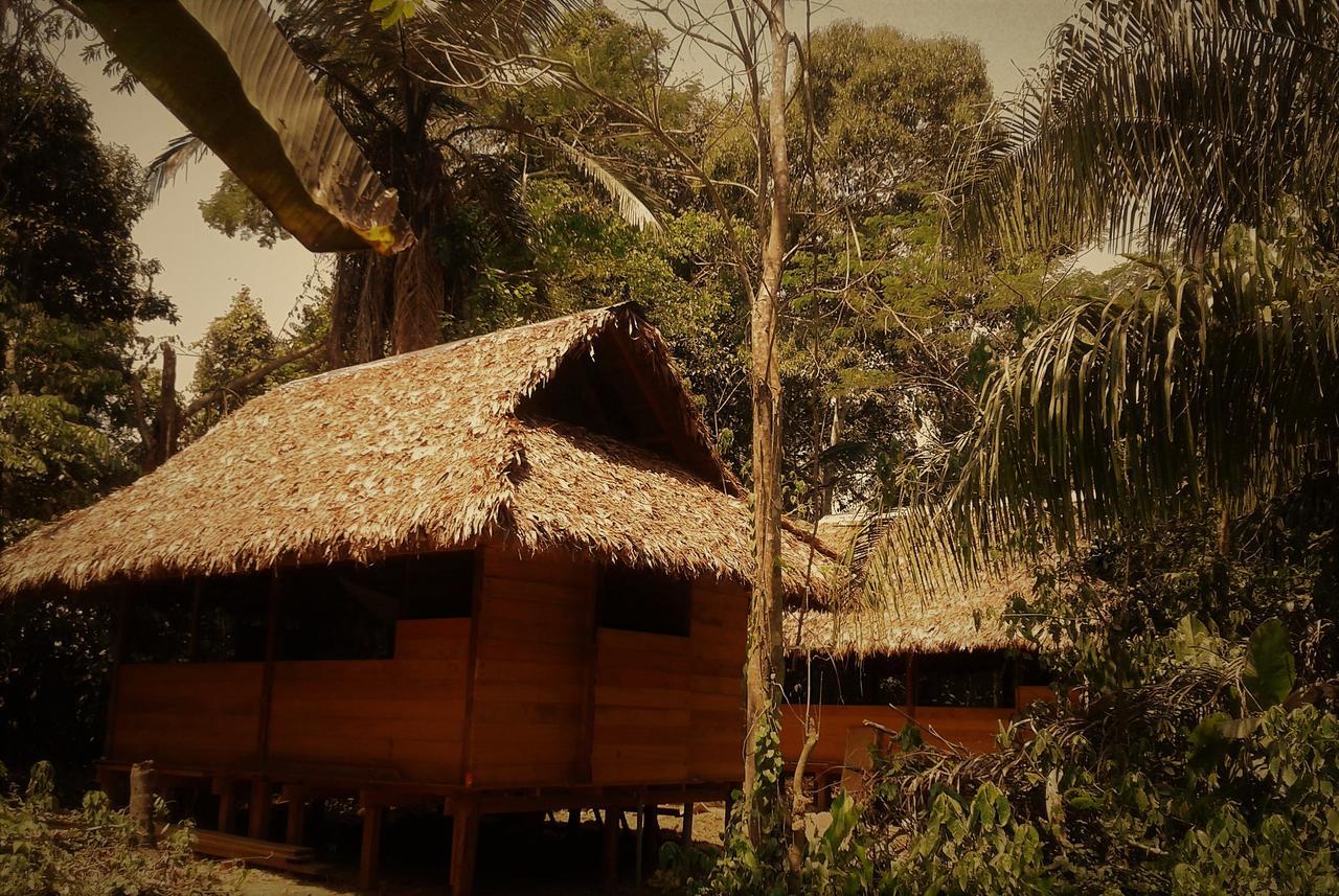 Ecolucerna Tambopata Lodge