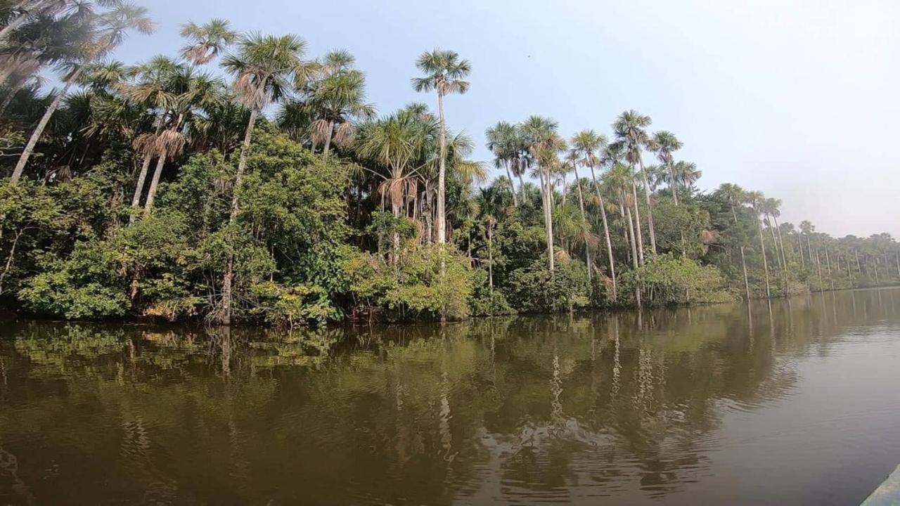 Ecolucerna Tambopata