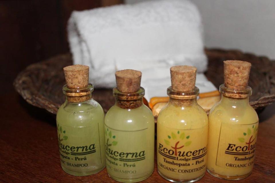Ecolucerna Tambopata Lodge *