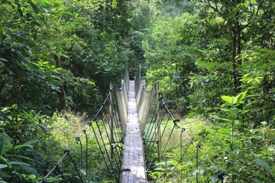 Ecolucerna Tambopata *